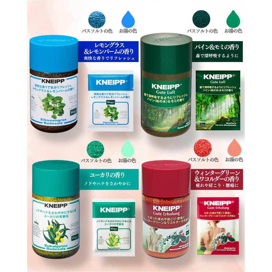 クナイプ バスソルト 12種類 全種 アソート セット kneipp 入浴剤