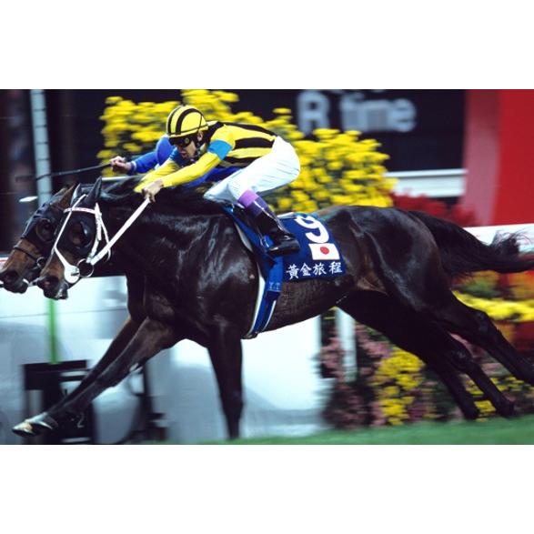 ステイゴールド ぬいぐるみ Mサイズ 競馬 アイドルホース 01年 香港