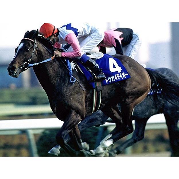 トウカイテイオー ぬいぐるみ Sサイズ 競馬 アイドルホース