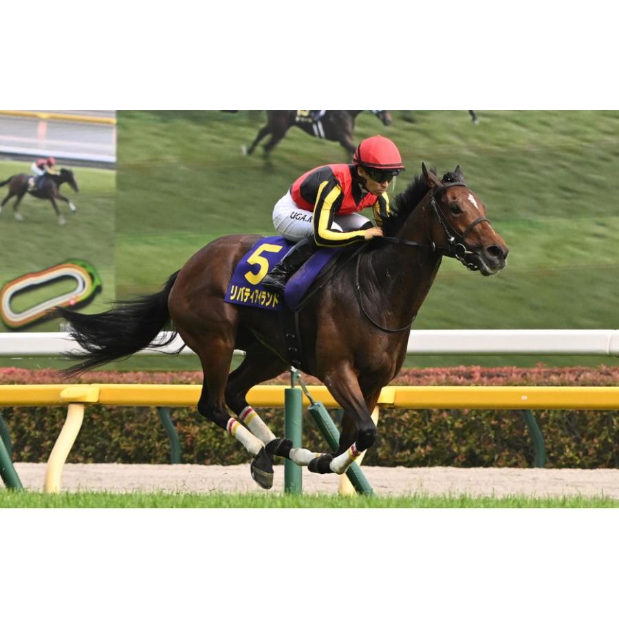 リバティアイランド 三冠制覇特別仕様！ Mサイズ！ ぬいぐるみ