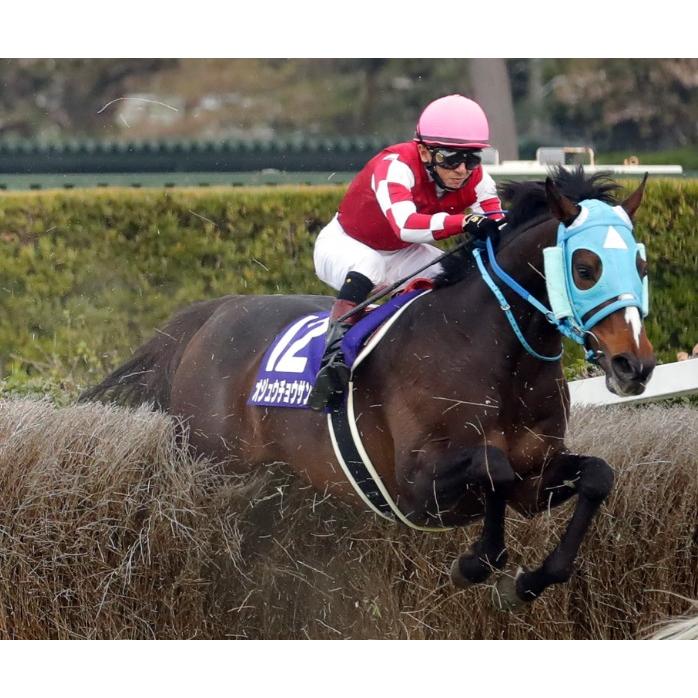 オジュウチョウサン ぬいぐるみ くっつきマスコット アイドルホース