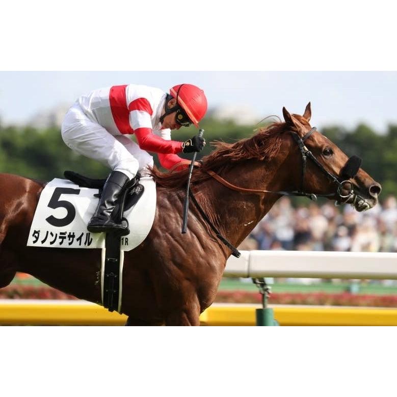 ダノンデサイル ぬいぐるみ Mサイズ アイドルホース 2025年ドバイ