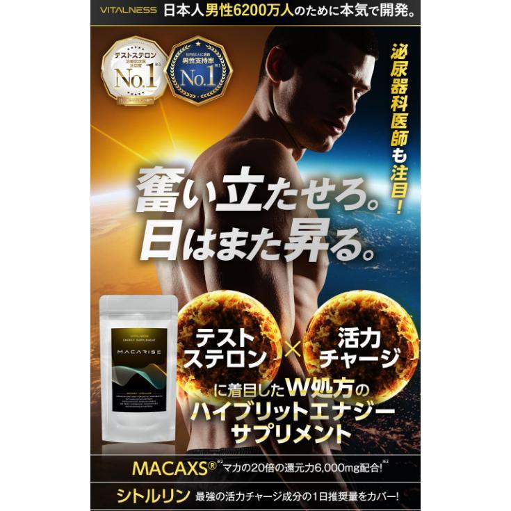 マカライズプラス 45粒 2袋 マカライズ サプリ MACARISE PLUS