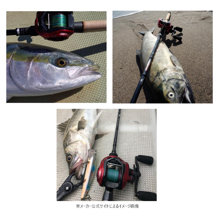 tailwalk（テイルウォーク） WIDE BASAL(ワイド バサル) CA 61L