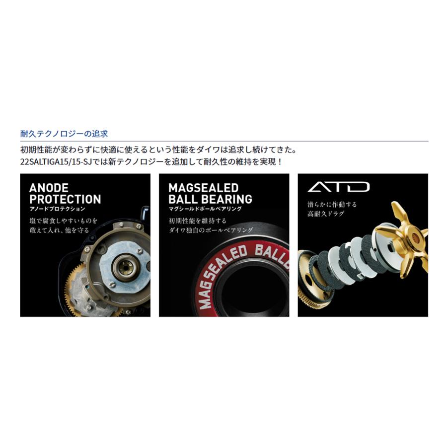 DAIWA（ダイワ） '22 SALTIGA 15(ソルティガ 15) 15H L (ジギング用