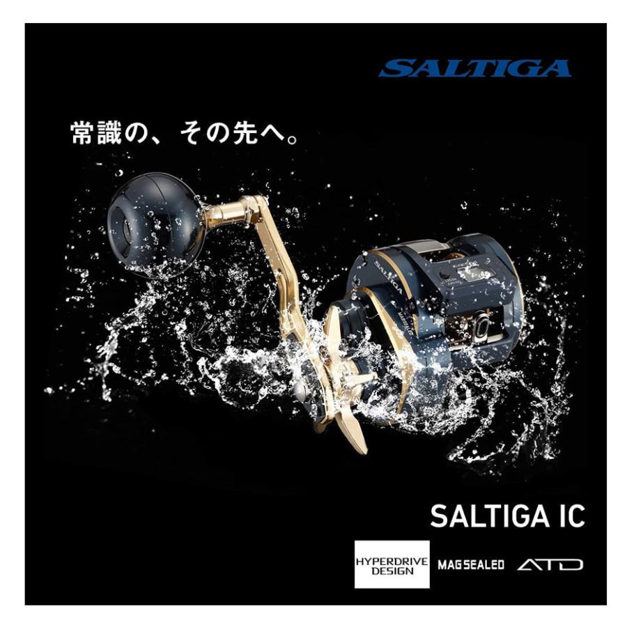 DAIWA（ダイワ） '21 SALTIGA IC(ソルティガ IC) 300-DH (右巻き