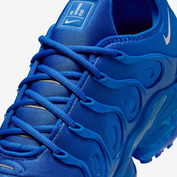 エア ヴェイパーマックス NIKE Air VaporMax Plus Game Royal/Metallic
