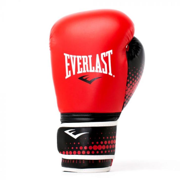EVERLAST（エバーラスト） 【並行輸入品】 ボクシンググローブ