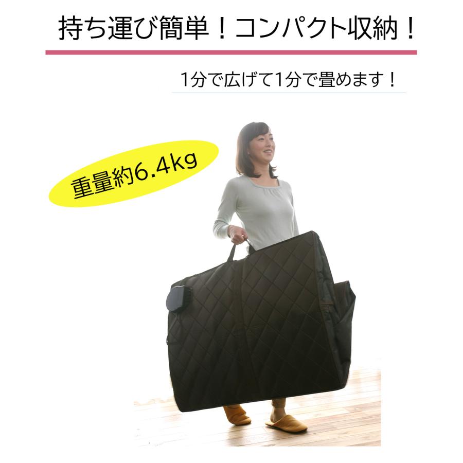 メーカー直送】ノイフルス NH-001 ホームサウナ SPA 【自宅サウナ 家庭