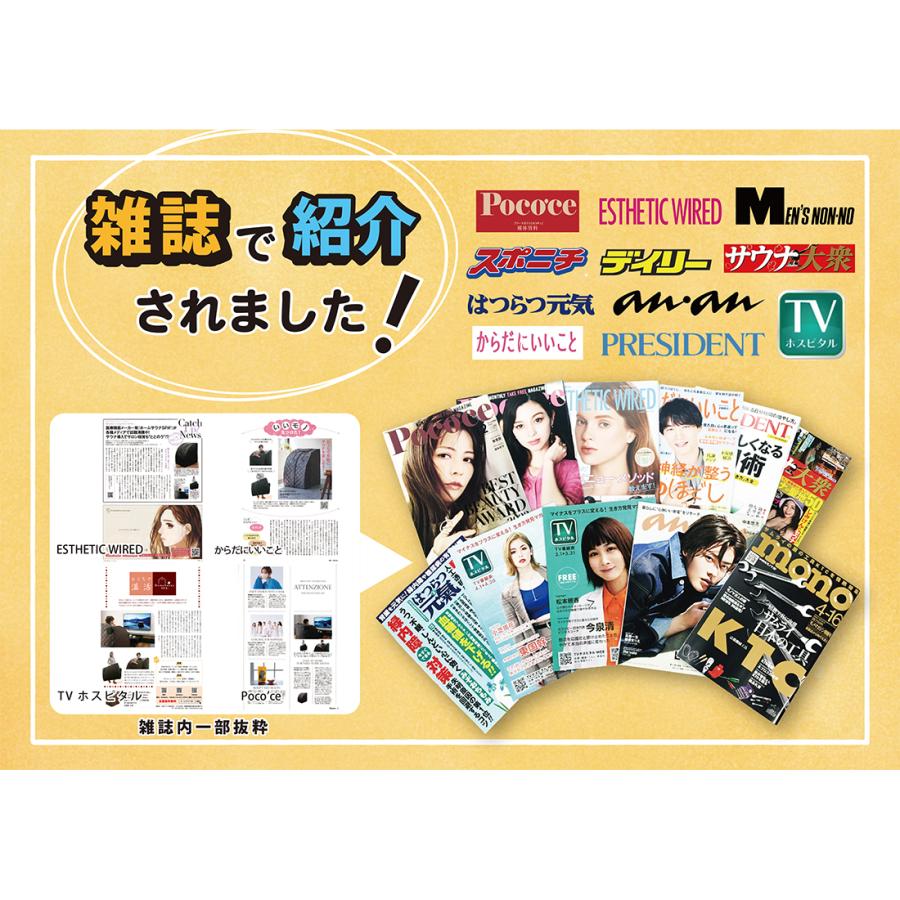 メーカー直送】ノイフルス NH-001 ホームサウナ SPA 【自宅サウナ 家庭