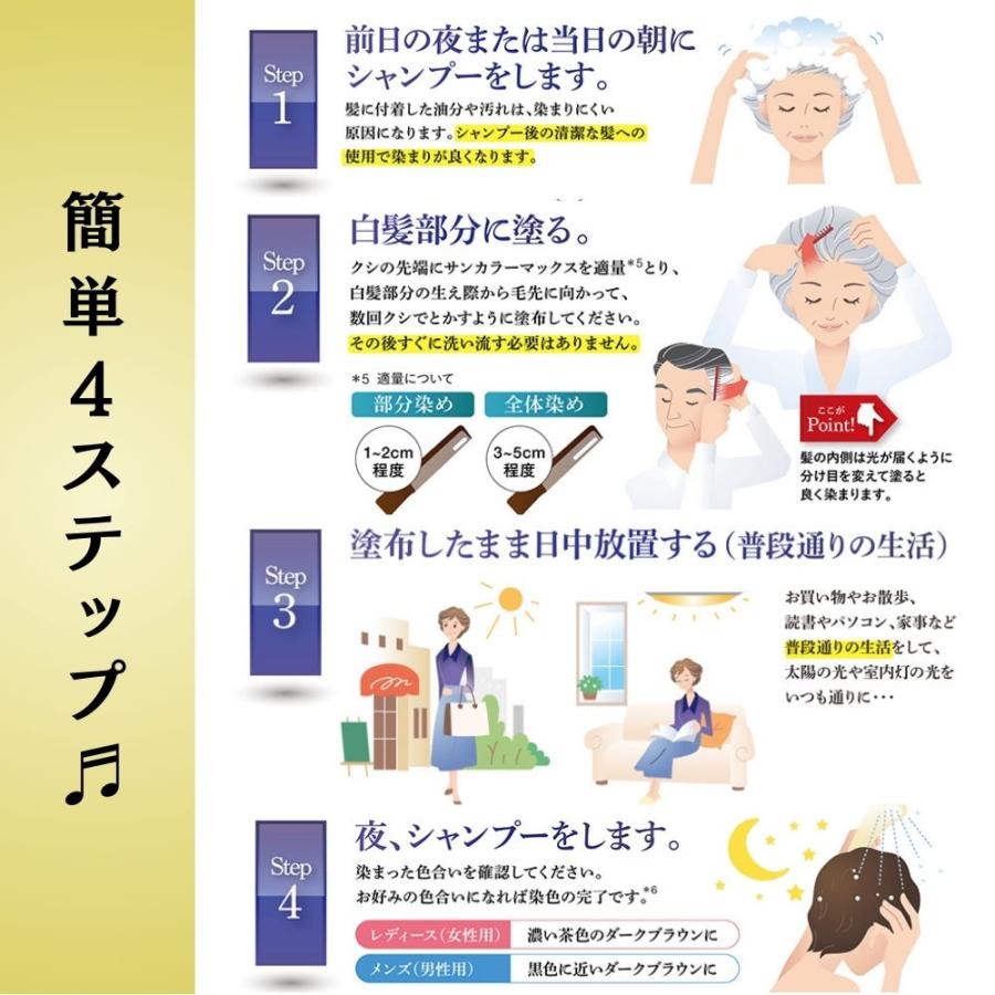 白髪染め ケンコー サンカラーマックス レディース ヘアカラー