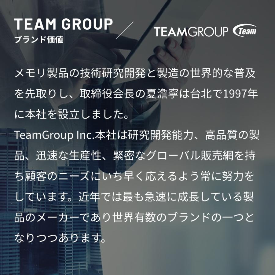 Team Group（チームグループ） 国内永久保証 TEAM ELITE PLUS DDR4