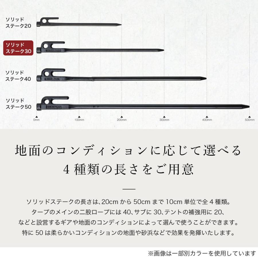 snow peak（スノーピーク） カラーステーク30 : OutdoorStyle サンデー