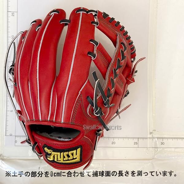 野球グローブ 野球 タイシークラフト 硬式グローブ 高校野球対応