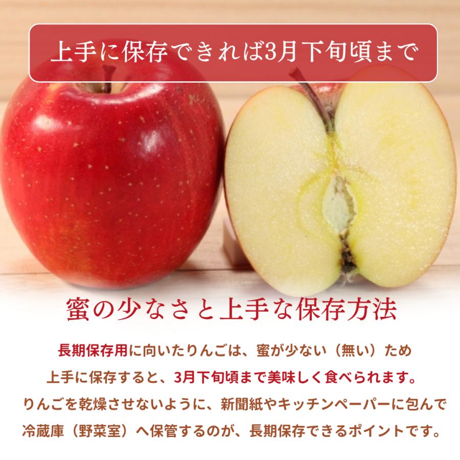 りんご 【ふんどのりんごや】 オリジナル品種 いわせっ娘 蜜無し 長期