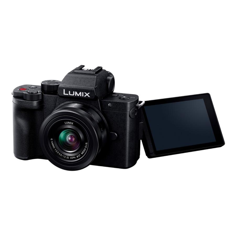 LUMIX 公式店 パナソニック デジタル一眼カメラ DC-G100DW ダブル