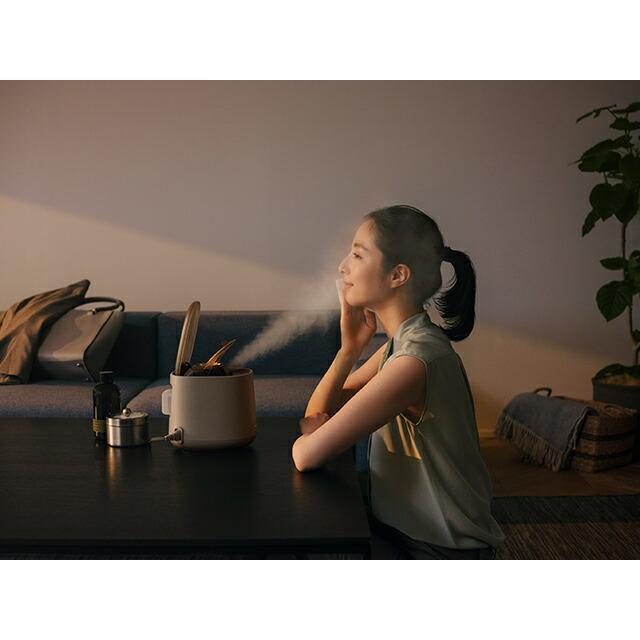 Panasonic（パナソニック） 公式店 スチーマー ナノケア EH-SA70