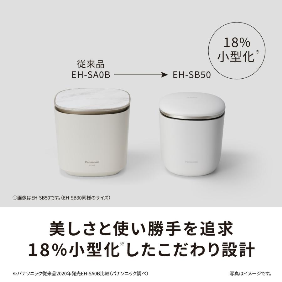 Panasonic（パナソニック） 公式店 スチーマー スキンアクト