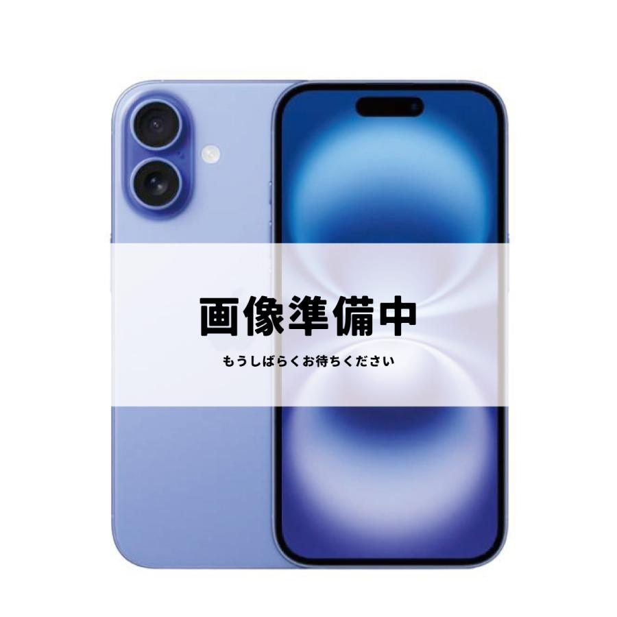 iPhone 16 Plus 128GB SIMフリー Cランク 中古 本体 スマホ