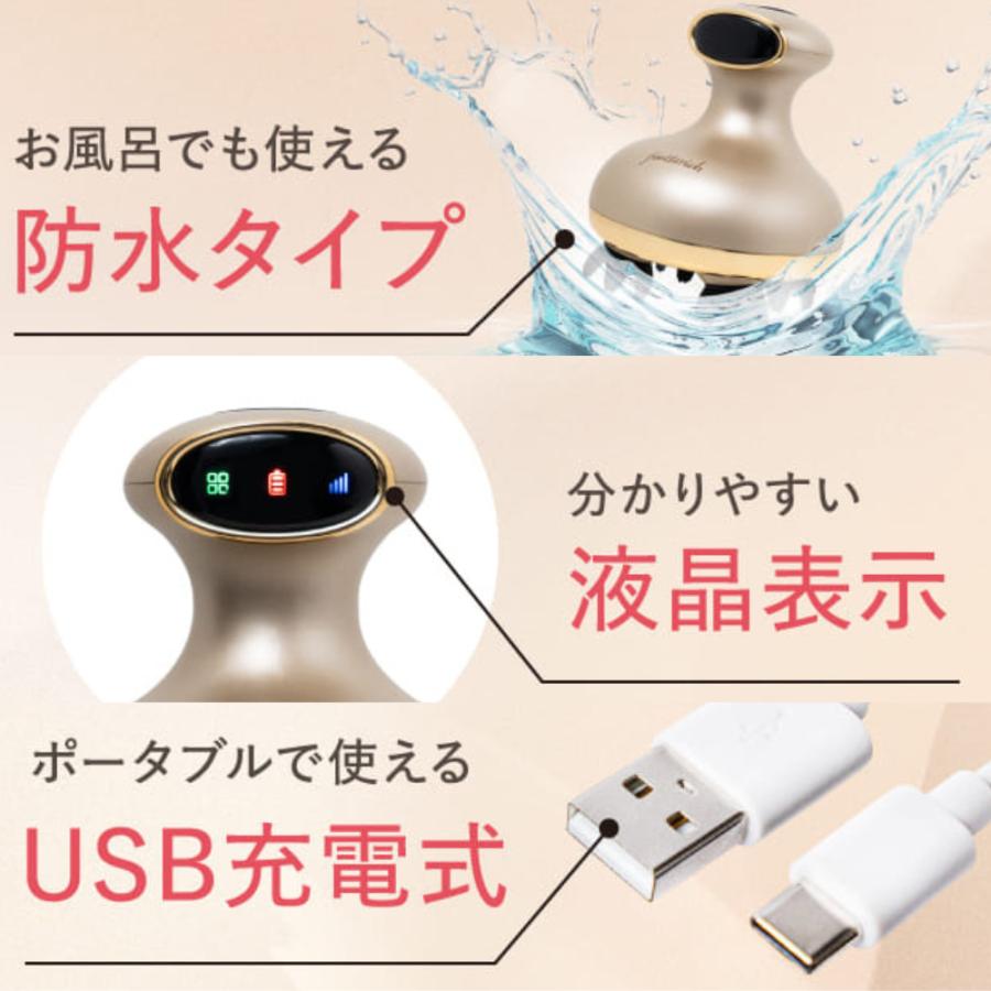 fuettarich（フエッタリッチ） スカルプ ヘッドスパ ems ブラシ 家電