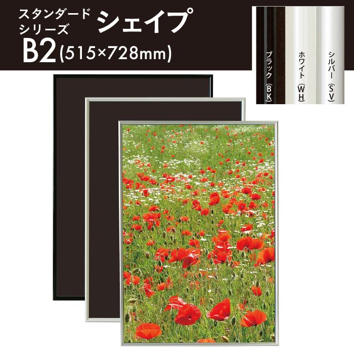 アルテ B2サイズ スタンダードシリーズシェイプ ポスターフレーム