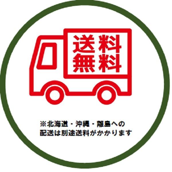 スター TSP-650II サーマルプリンター対応 感熱ロール紙 20巻入 幅