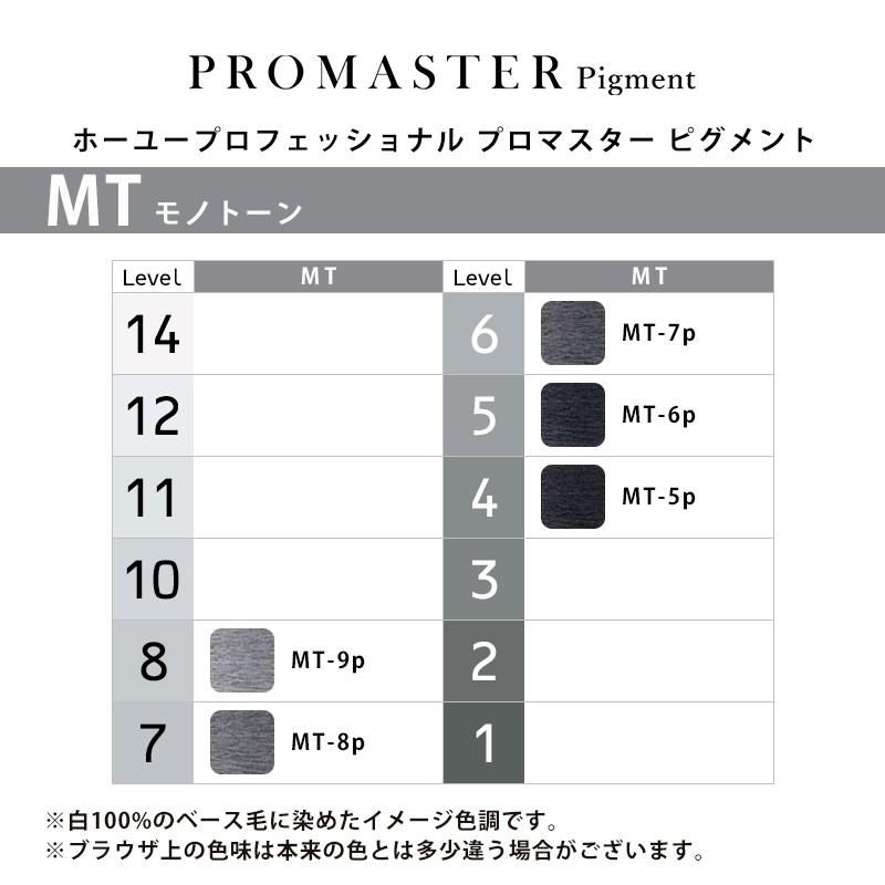 hoyu（ホーユー） プロフェッショナル プロマスター ピグメント