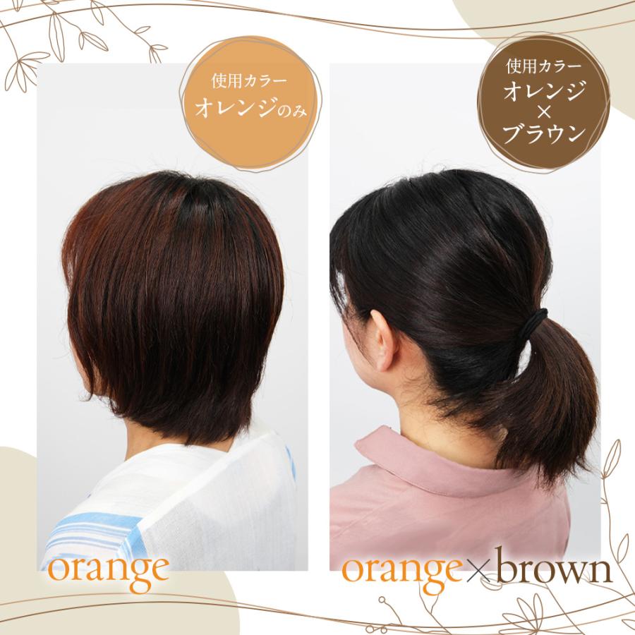 ヘナ 白髪染め ヘナカラー 100% 天然 オーガニック 使用 市販