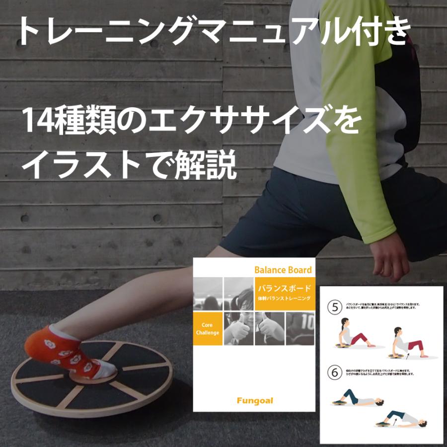 バランスボード バランストレーニングの新しいカタチ マニュアル付