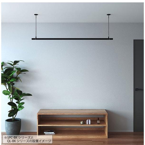 2本セット 川口技研 ホスクリーン SPC型 標準サイズ BK色 SPC-BK