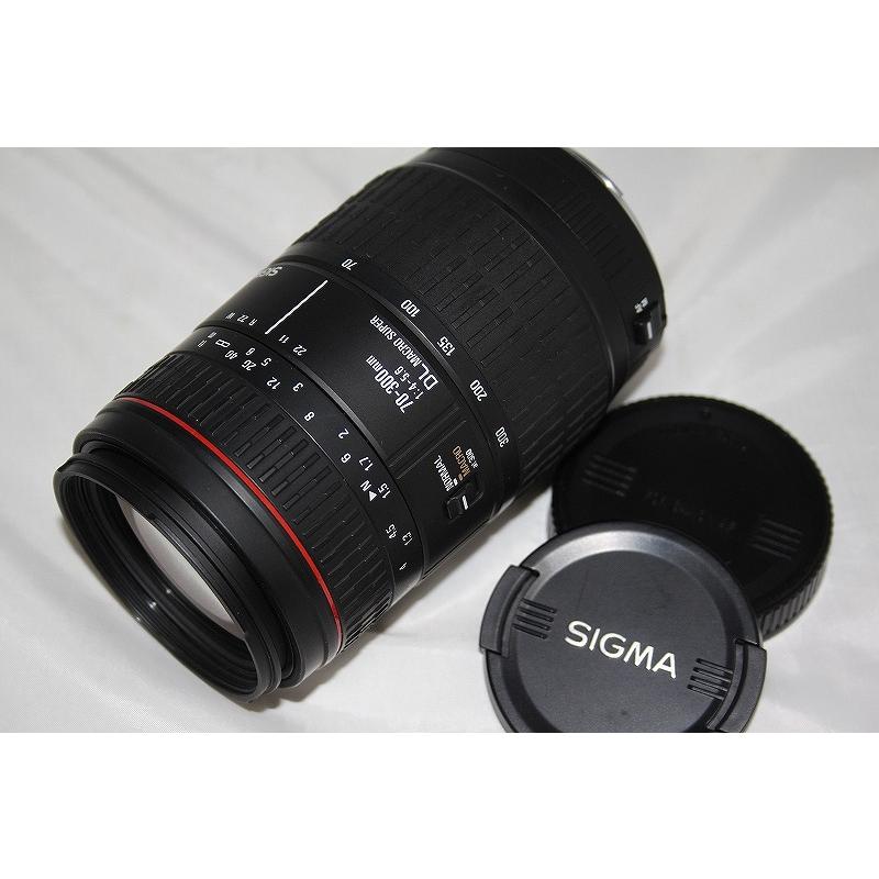 シグマ SIGMA レンズ[70-300mm F4-5.6 DL MACRO SUPER] : ワットマン