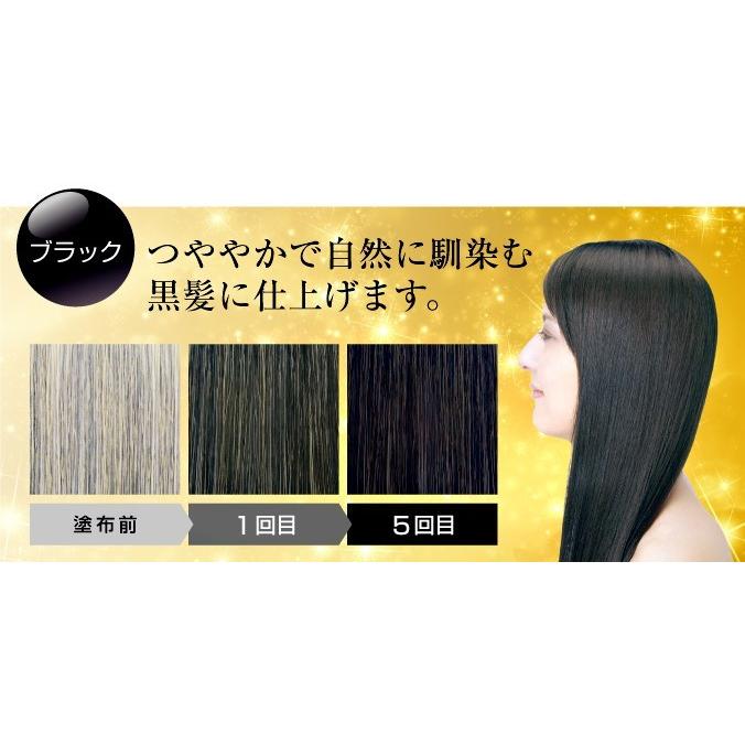 送料無料】白髪染めヘアカラートリートメント 利尻昆布エキス配合 髪と