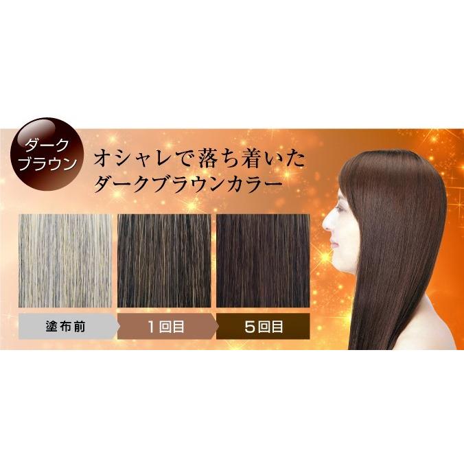 送料無料】白髪染めヘアカラートリートメント 利尻昆布エキス配合 髪と