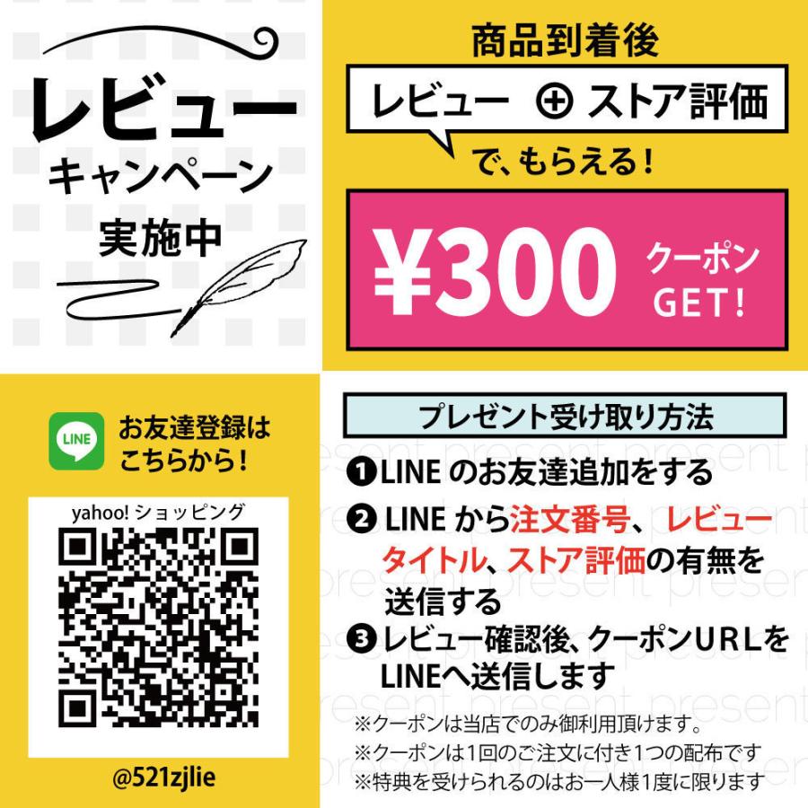 美顔器 イオン導出入 ディープクレンジング 音波振動 エイジングケア