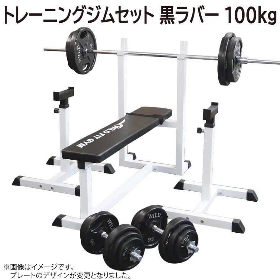 WILD FIT（ワイルドフィット） トレーニングジムセット 黒ラバー 100kg
