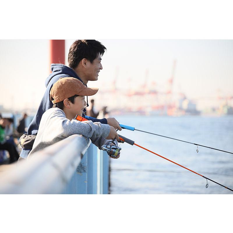 JACKALL（ジャッカル） グッドロッドGOOD ROD GD-S62L-2PC : ウインズ