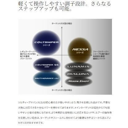 19ソルティーアドバンスライトショアジギングS96ML シマノ : 東海