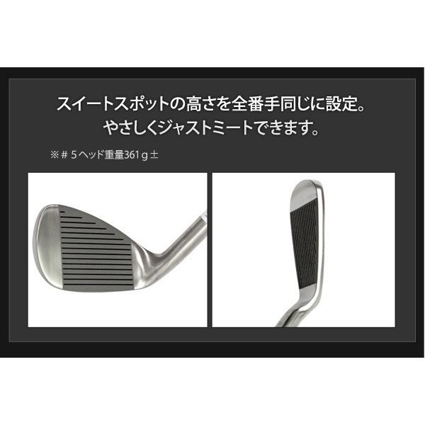 アイアンセット 5本 スチールキャビティバック RODDIO アイアンセット