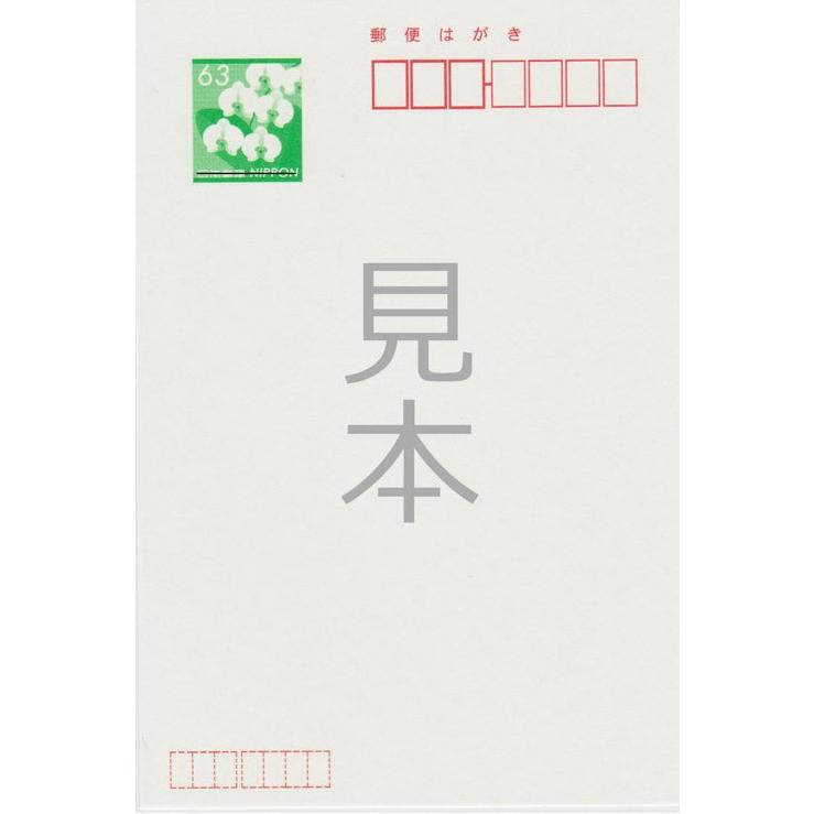 官製 10枚 喪中はがき（のじぎく）縦書きタイプ（No.817） 85円切手付