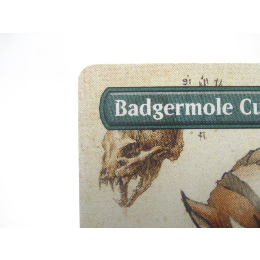 MTG アナグマモグラの仔 326 ボーダーレス 英語 #UX2445 : スリフト