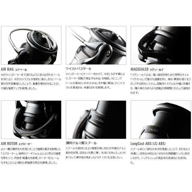 DAIWA（ダイワ） カルディア LT1000S-P （18 CALDIA