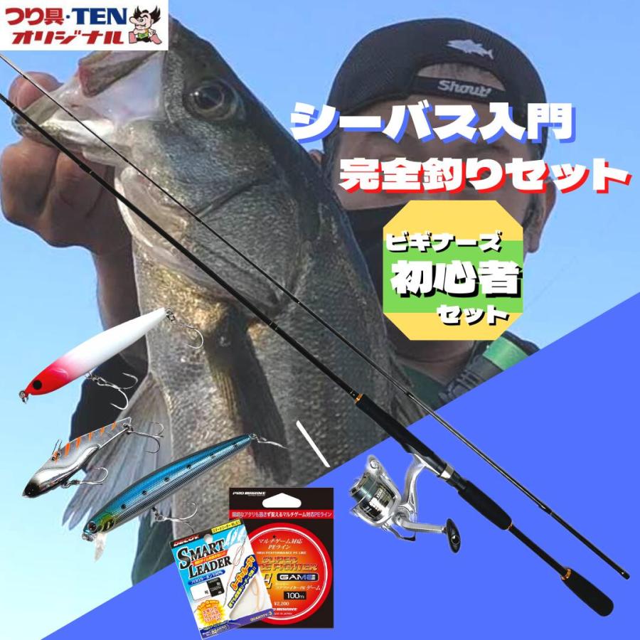シーバス入門オールインワンセットPE シーバスロッド＋リール PEライン
