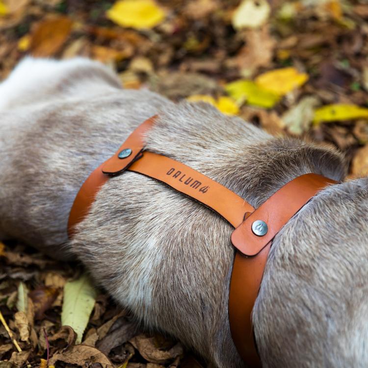 ダーラム トナカイファー ワードL Dalum | ファー 毛皮 毛 ラグ