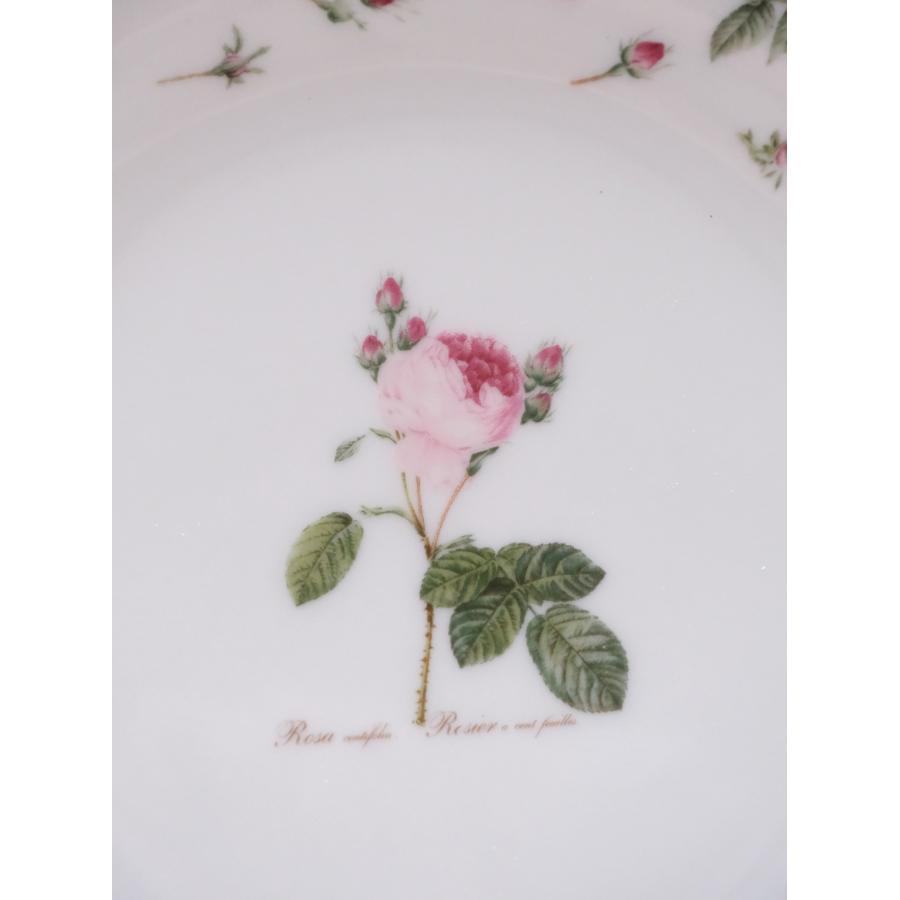 皿 プレート ルドゥーテローズ プレート19.7 ケーキプレート デザート