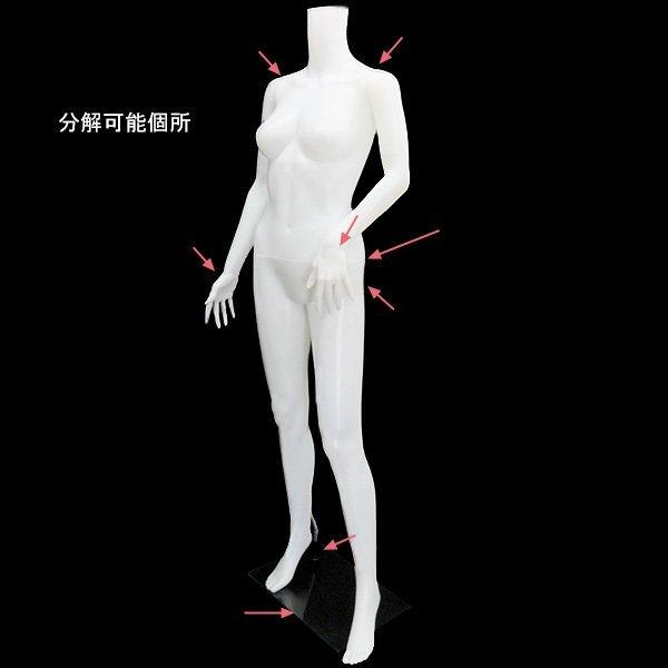レディース マネキン 女性 婦人 ヘッドレス ナイスボディー 女性用