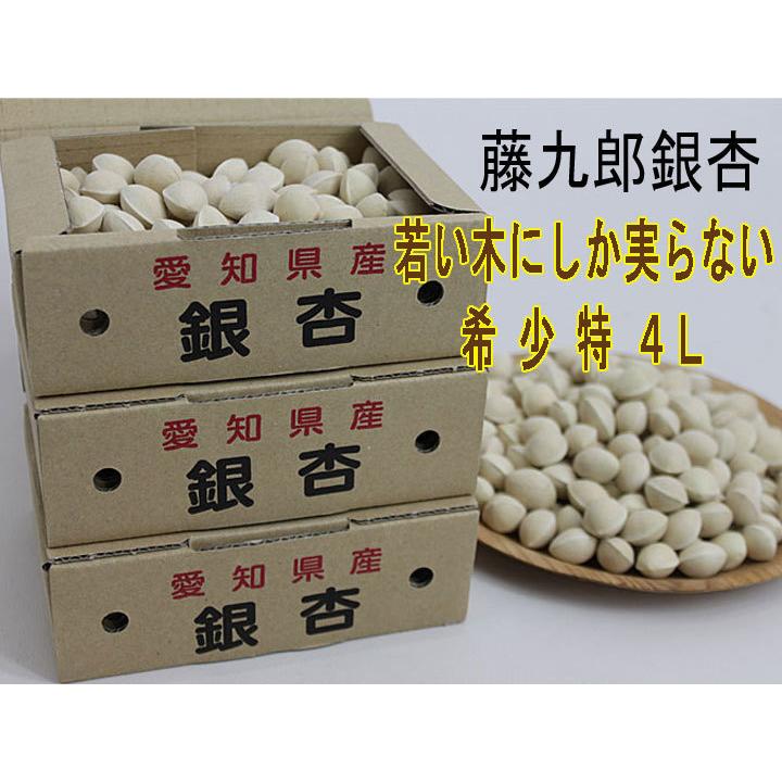 2025年度《日本国内産》 江戸時代から続く銀杏産地 祖父江 藤九郎 希少