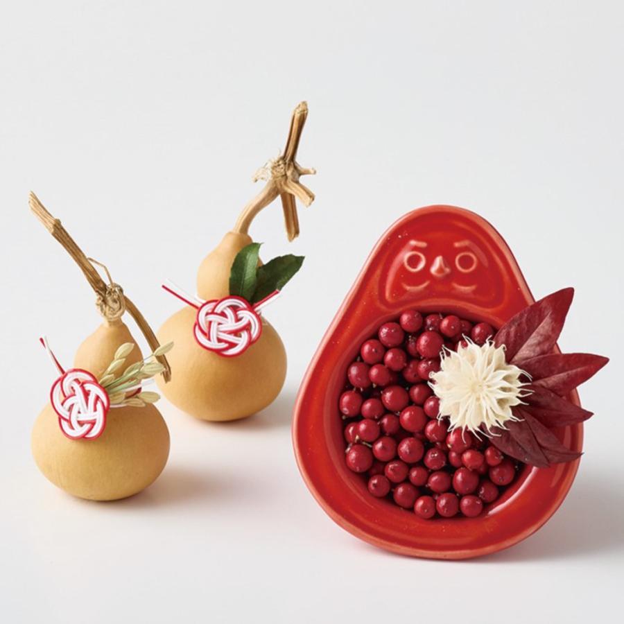 P10倍中 3/2 9:59まで】 ドライフラワー 花材 即日出荷 豆ひょうたん