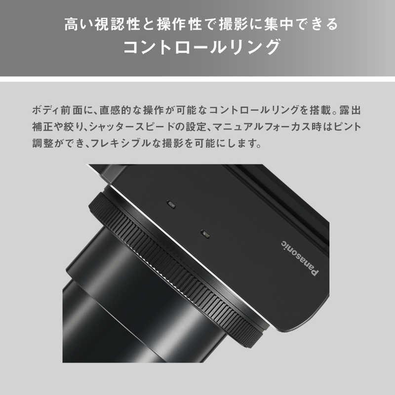 パナソニック Panasonic LUMIX TZ99 コンパクトデジタルカメラ