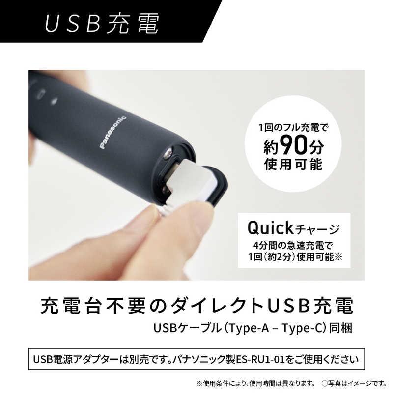 パナソニック Panasonic 電動歯ブラシ Doltz ドルツ [ 音波振動式