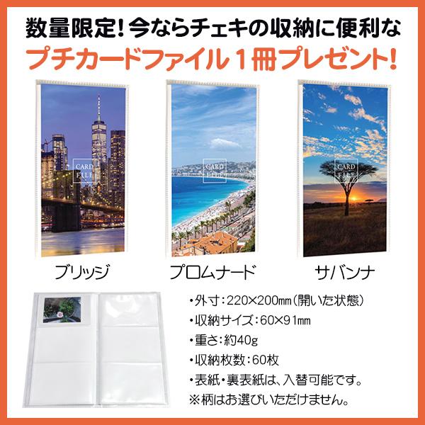 チェキ instax mini フィルム 60枚＆当店限定おまけアルバム1冊 お得